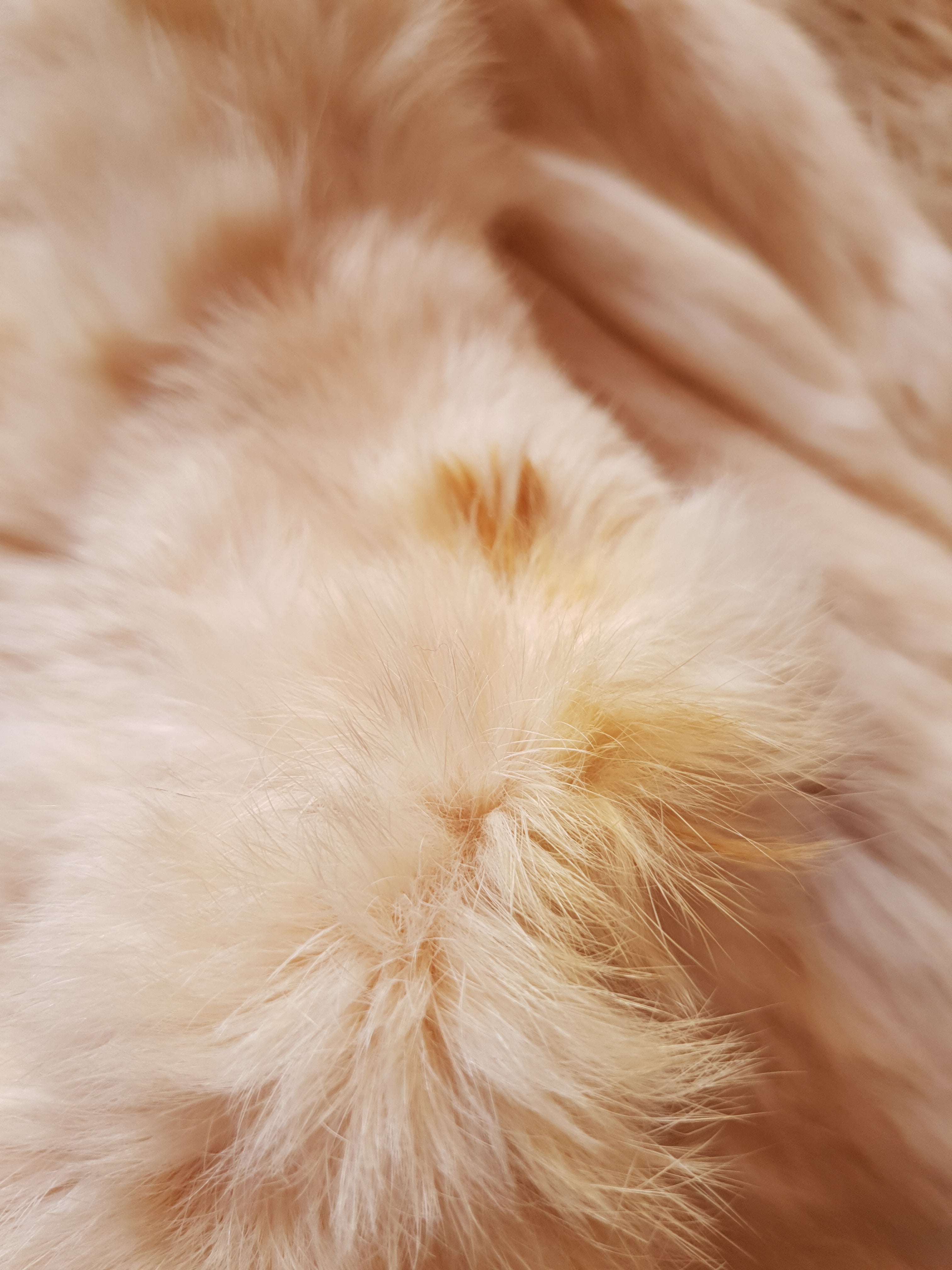 Vintage White Rabbit Fur Coat