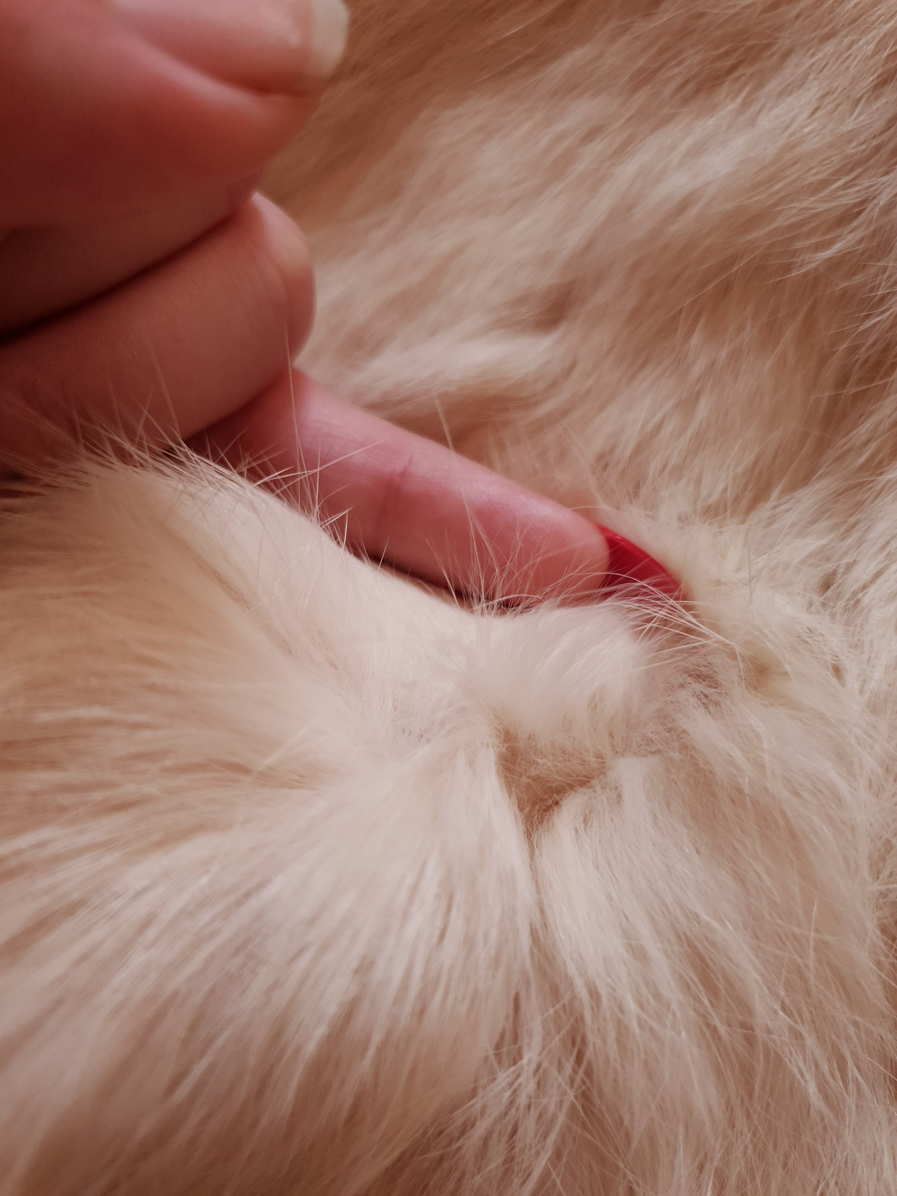 Vintage White Rabbit Fur Coat