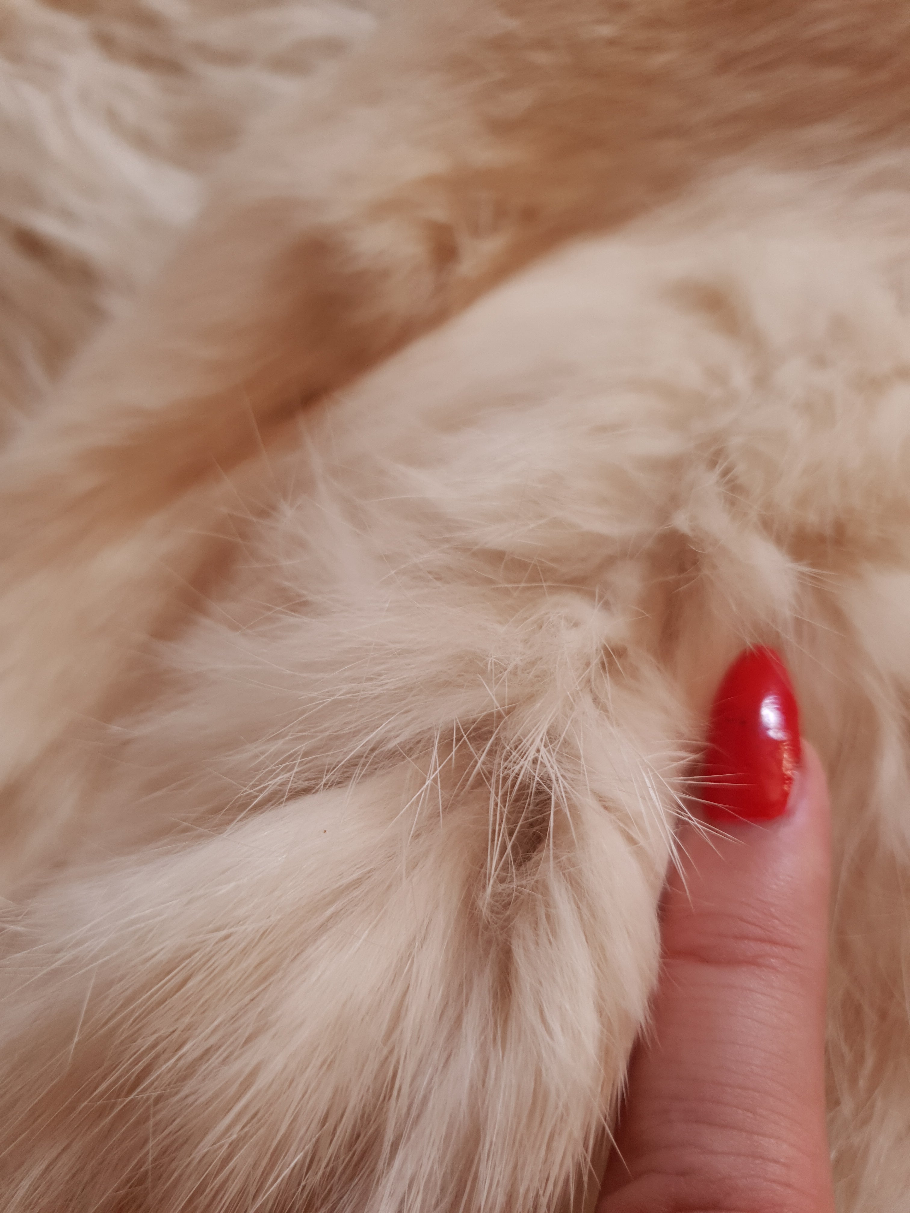 Vintage White Rabbit Fur Coat