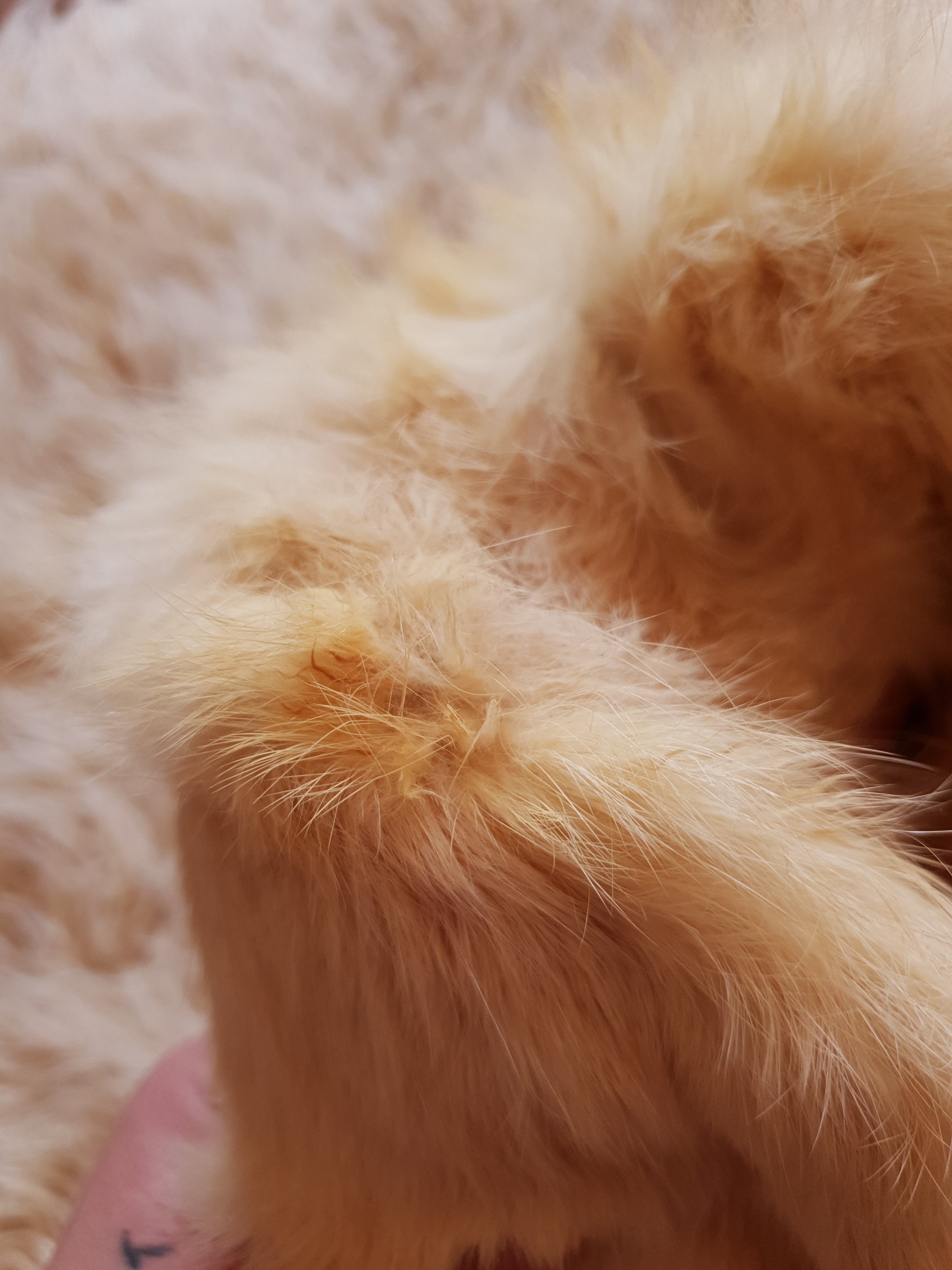 Vintage White Rabbit Fur Coat