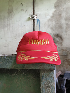 Hawaii cap